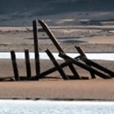 Fork Level Zero's avatar