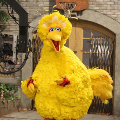 Big Bird's avatar